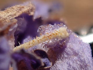 PB070861a.jpg